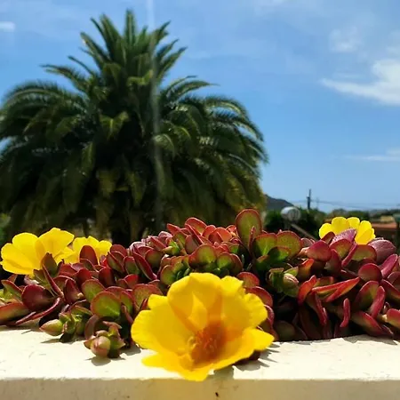 Magdalena Las Palmas de Gran Canaria