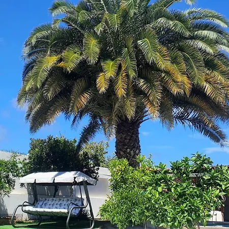 Magdalena Las Palmas de Gran Canaria